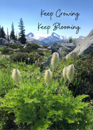 Keep Growing. Keep Blooming.